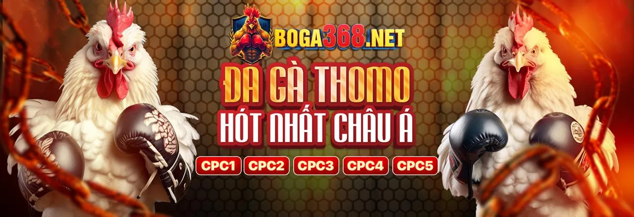 Lý do chọn hoàn trả Xibet