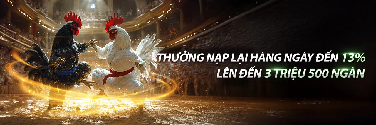Hình ảnh tổng quan tin tức xibet khuyến mãi 2026